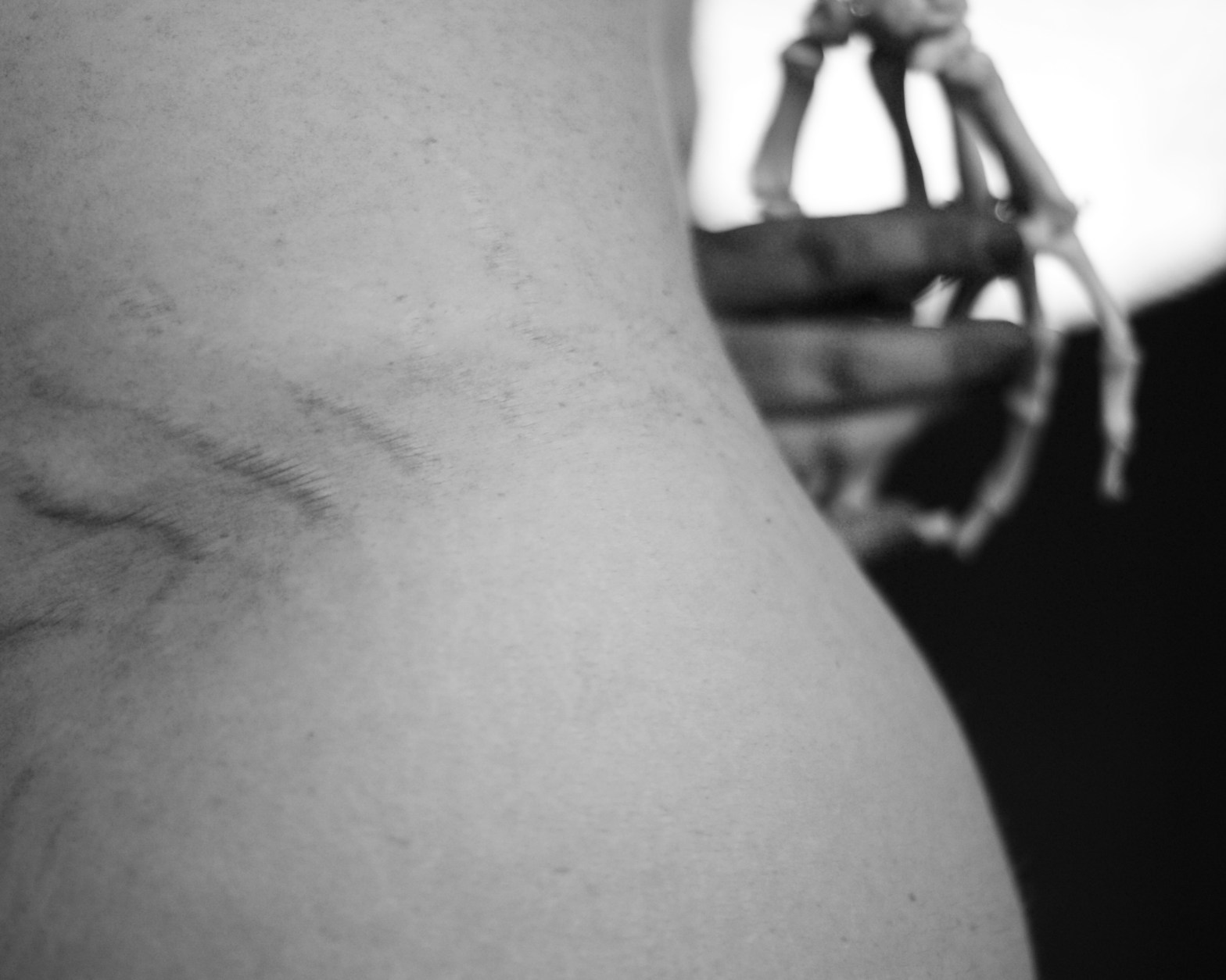 "begotten, shall rest" - photograph by Joseph Thiebes, 2013